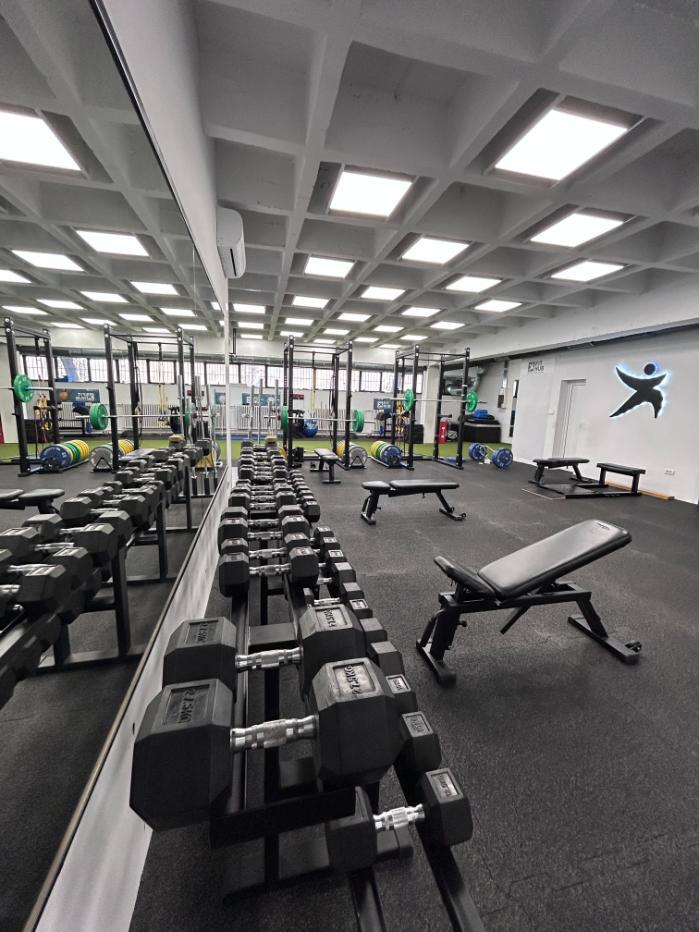 Fit Hub health & fitness concept